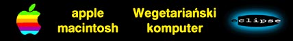 BANER REKLAMOWY